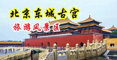 后入嫩穴视频中国北京-东城古宫旅游风景区